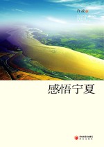 感悟宁夏