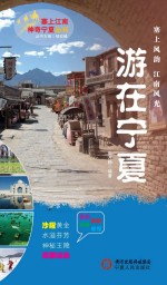 塞上江南神奇宁夏丛书 游在宁夏