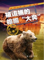 被追捕的棕熊“大奔”