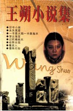 王朔小说集