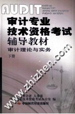 审计专业技术资格考试辅导教材 审计理论与实务 下