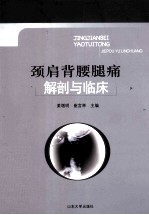 颈肩背腰腿痛解剖与临床