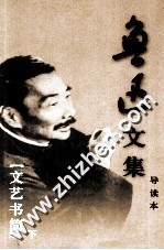 鲁迅文集 导读本 第24卷 文艺书简 下