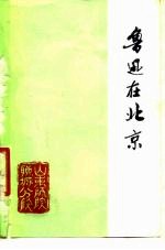 鲁迅在北京 2