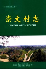 崇文村志