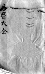 疡医大全 卷5
