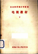 社会经济统计原理 电视教材 下