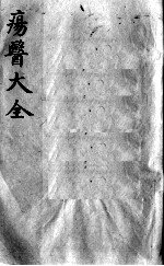 疡医大全 卷14