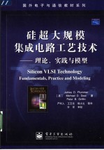 硅超大规模集成电路工艺技术 理论、实践与模型 fundamentals, practice and modeling