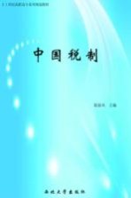 中国税制