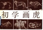 初学画虎 画册