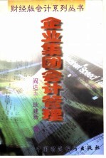 企业集团会计管理
