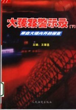 大要案警示录 下 来自大墙内外的报告