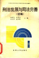 刑法发展与司法完善  续编