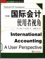 国际会计 使用者视角 a user perspective