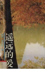 遥远的爱