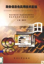 政务信息化实用技术基础