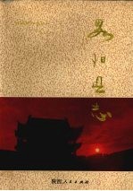 略阳县志