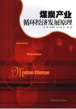 煤炭产业循环经济发展原理