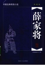 薛家将 珍藏版