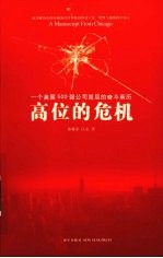 高位的危机 一个美国500强公司高层的奋斗亲历