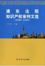 浦东法院知识产权审判文选 2005-2008