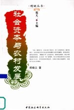 社会资本与农村发展