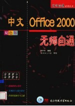 中文Office 2000无师自通 双色版