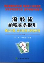 流转税纳税实务指引