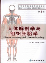 人体解剖学与组织胚胎学 中英文对照