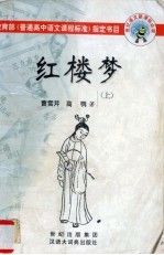 红楼梦 上