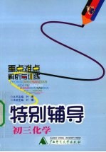 特别辅导 初三化学