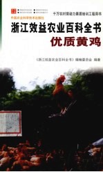 浙江效益农业百科全书 优质黄鸡