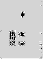 申报 38