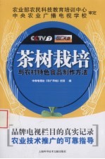 茶树栽培与农村特色食品制作方法