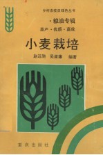 小麦栽培