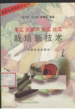 冬瓜 西葫芦 南瓜 丝瓜栽培新技术