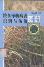 粮食作物病害识别与防治图册