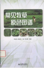 常见牧草原色图谱