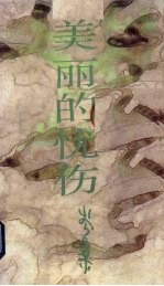 美丽的忧伤