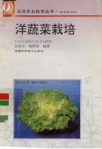 洋蔬菜栽培
