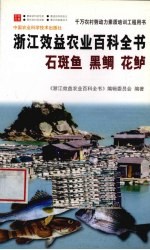 浙江效益农业百科全书 石斑鱼 黑鲷 花鲈