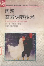 肉鸡高效饲养技术
