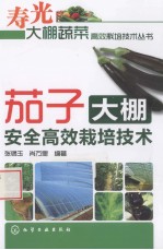 茄子大棚安全高效栽培技术