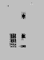申报 24