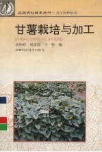 甘薯栽培与加工