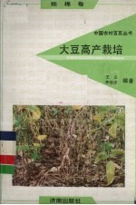 大豆高产栽培