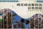 棉花病虫害防治彩色图册