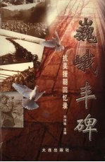 巍峨丰碑 抗美援朝回忆录