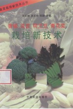 香椿 莴苣 荷兰豆 青花菜栽培新技术